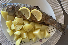 Rychlé a chutné