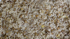 Čočkový prejt s jáhlami