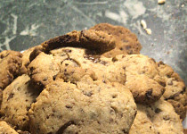 Výborné sušenky-cookies