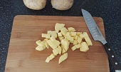 Bramboračka skleněnka