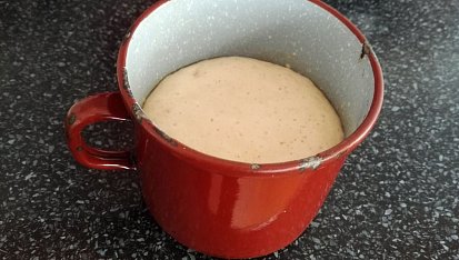 Vánočka s mandlemi a rozinkami po sto prvé, vykynutý kvásek