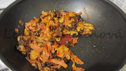 Variace na houbové ragú