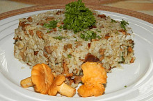 Rizoto s liškami
