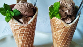 Domácí kakaová zmrzlina