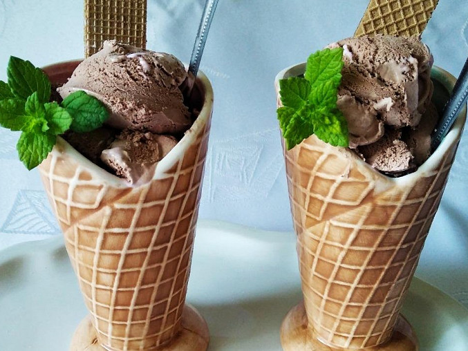 Domácí kakaová zmrzlina, Domácí kakaová zmrzlina