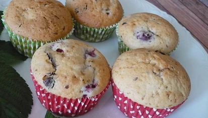 Malinové muffiny s kousky čokolády II