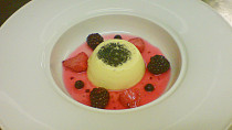 Vanilkova PANNA COTTA