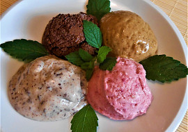 Krémová ovocná zmrzlina  (Dělená strava podle LK - Kytky i Zvířata)