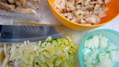 Cuketová rolka plněná hlívou ústřičnou, pórkem a sýrem