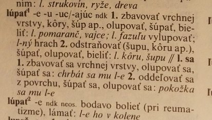 Brambory s kysaným zelím
