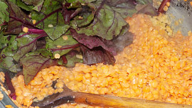 3 v 1 - čočka, řepa, uzené