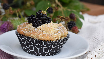 Ostružinové muffiny