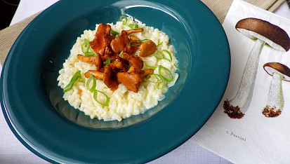 Risotto s liškami
