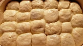 České buchty