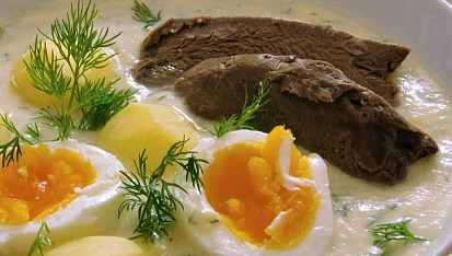 Květáková koprovka