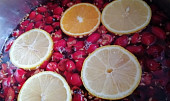Šípkový sirup s vůní citrónu a pomeranče