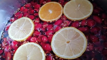 Šípkový sirup s vůní citronu a pomeranče