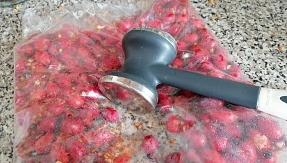 Šípkový sirup s vůní citronu a pomeranče