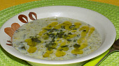 Brokolicová polévka (SJ)