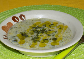 Brokolicová polévka (SJ)