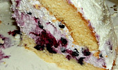 Piškotový dort s borůvkovou náplní (Piškotový dort s borůvkovou náplní)