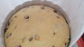Vánoční panettone