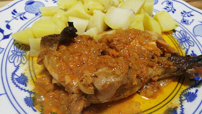 Králík pikant