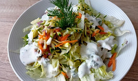 Zeleninový salát s koprem