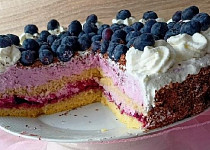 Tvarohovo-borůvkový dort z remosky