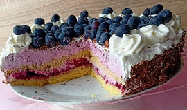 Tvarohovo-borůvkový dort z remosky