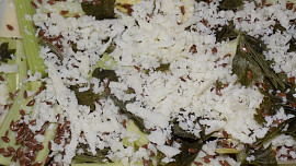 Zapékaný řapíkatý celer