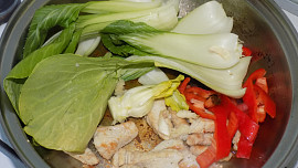 Kuřecí s čínskym zelím