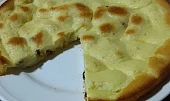 Tvarohové řezy s brusinkami pečené v remosce