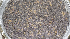 Makový koláč bez mouky