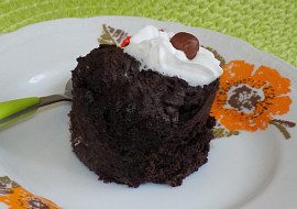 Čokoládový mug cake