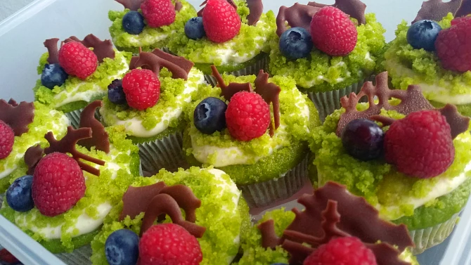 Mechové muffiny