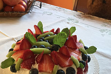 Dort Pavlova
