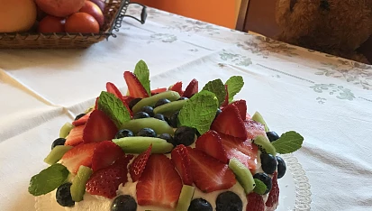 Dort Pavlova, Dort Pavlova