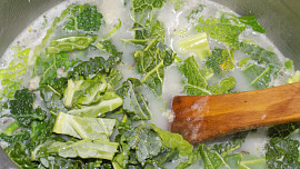 Kapustová polévka s droždím