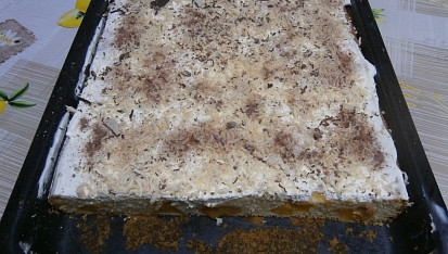 Přesnídávkové řezy