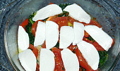 Pangasius  s rajčaty, špenátem a Mozzarellou