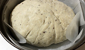 Základní chleba z remosky (Po 40 minutách. Můžeme remosku zapnout.)
