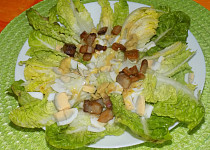 Lyonský salát