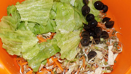 Salát z fazolí mungo