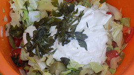 Károlyho čardáš (salát)