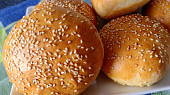 Housky na hamburger
