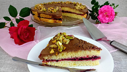 Rychlý piškotový moučník, Rychlý piškotový moučník