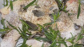 Estragonová kuřecí stehna