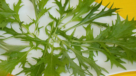 Kuskusový salát s mizunou