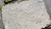 Špenátová roláda s uzeným lososem